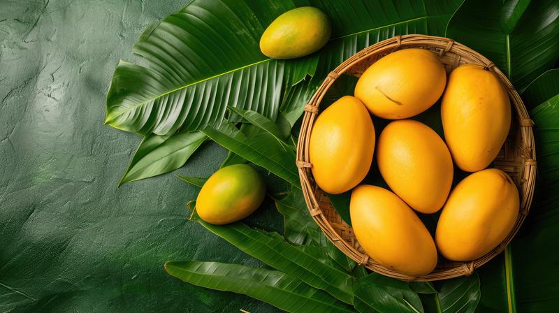 RASALU Mangoes - Image 3